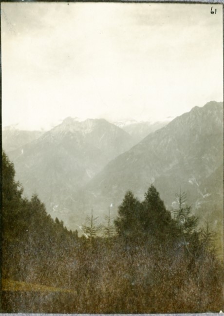 Dal Collino dell'Oca