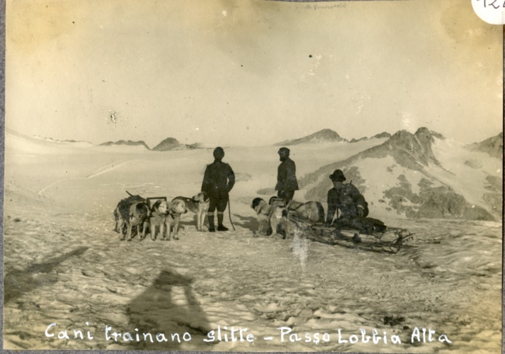 Cani trainano slitte - Passo Lobbia Alta