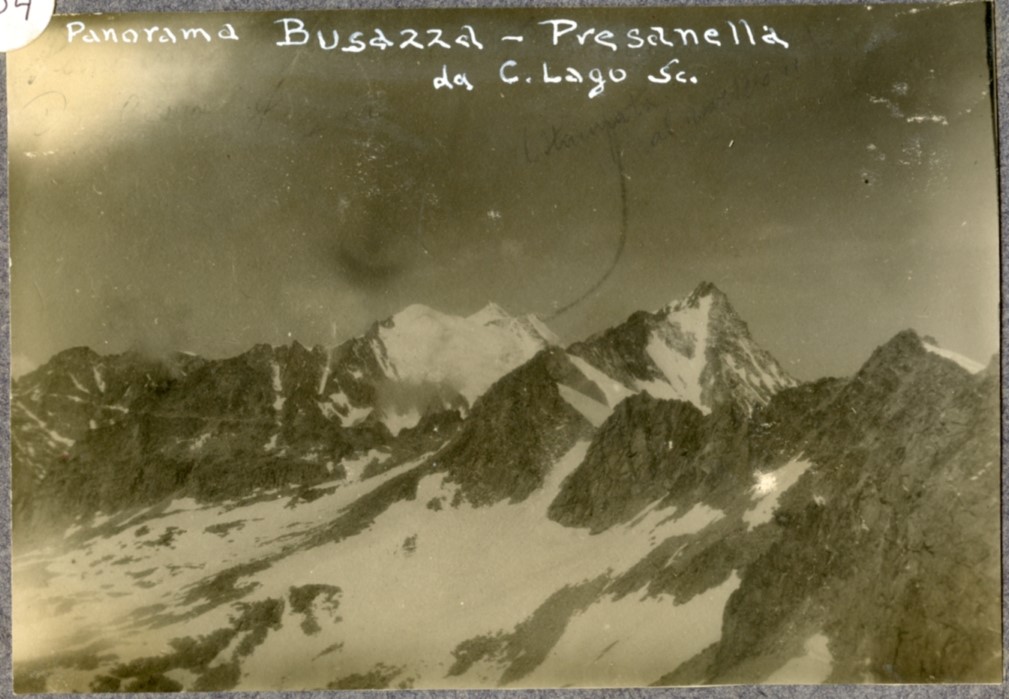 Panorama Busazza Presanella