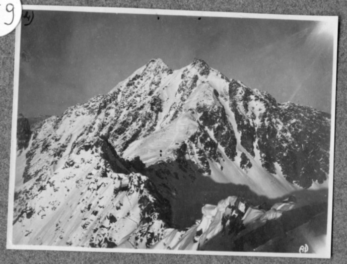 Veduta da Cima Payer