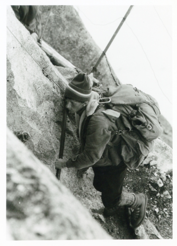 Federici A. Faustinelli