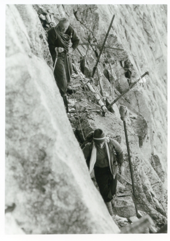 Federici A. Faustinelli