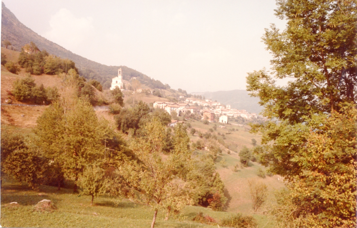 Mura