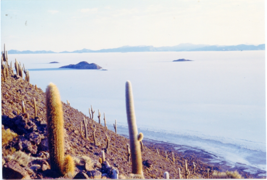 Salar De Uyuni - Atacama
