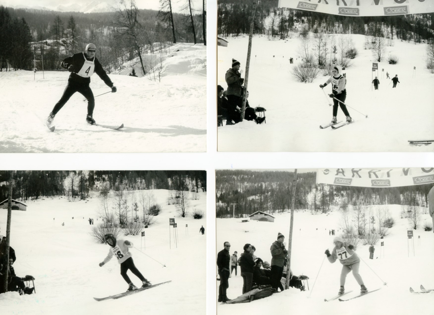 Foto gare e premiazioni