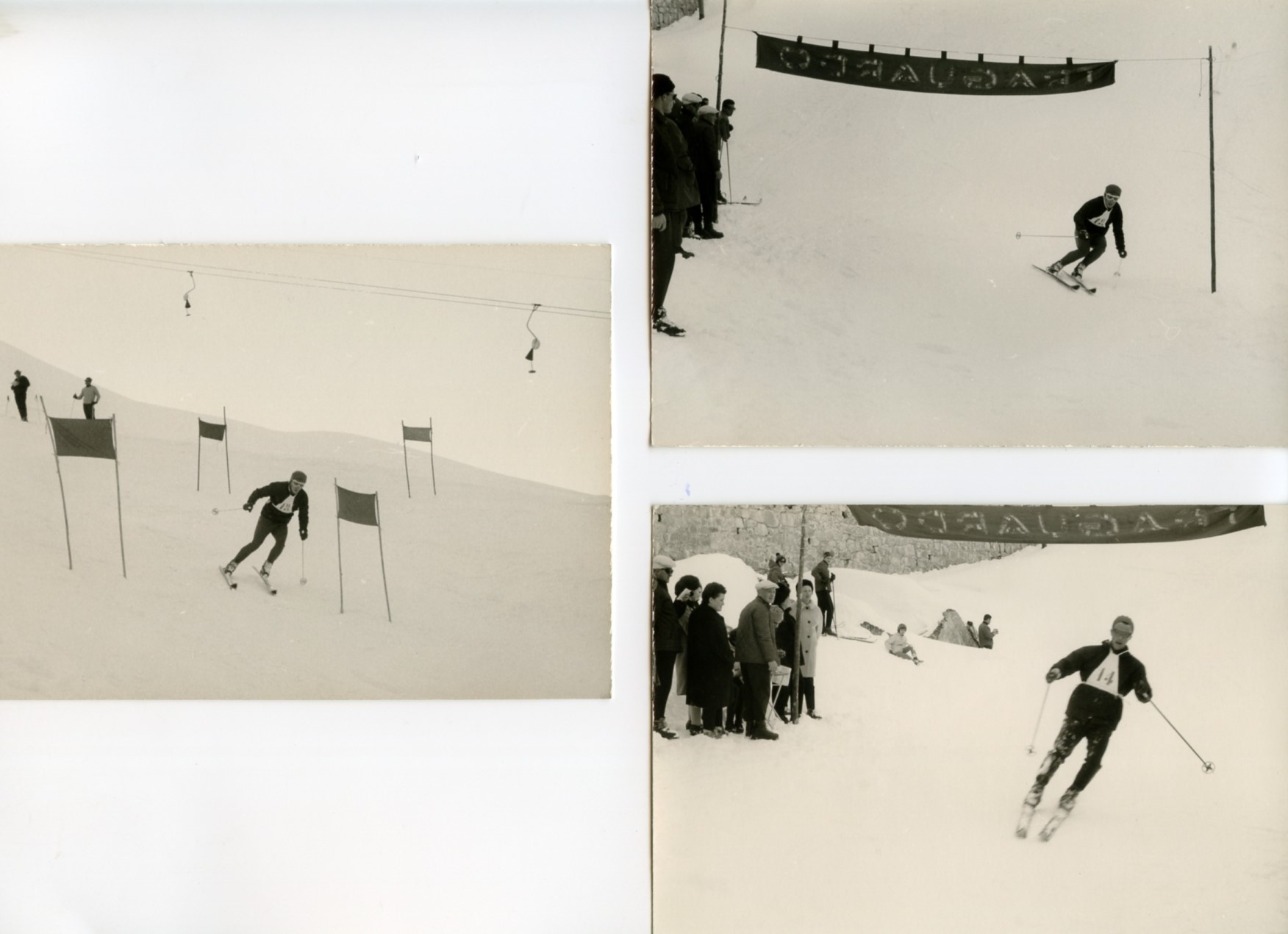 Foto gare e premiazioni