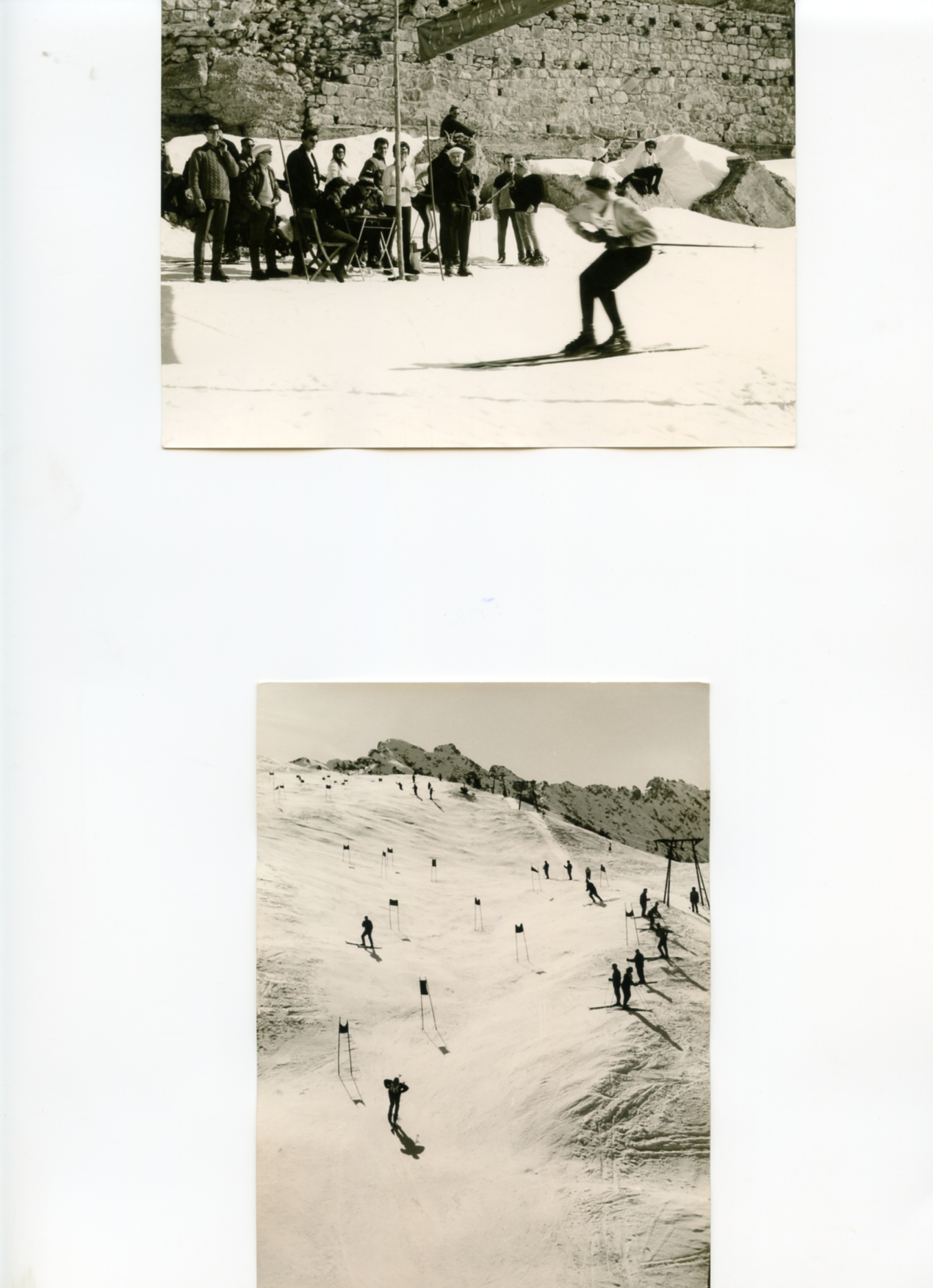 Foto gare e premiazioni