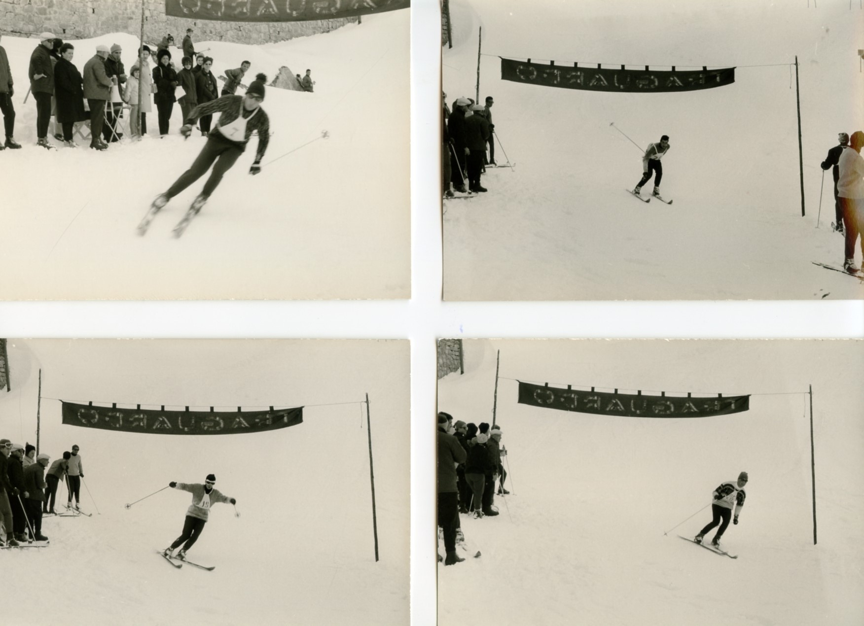 Foto gare e premiazioni