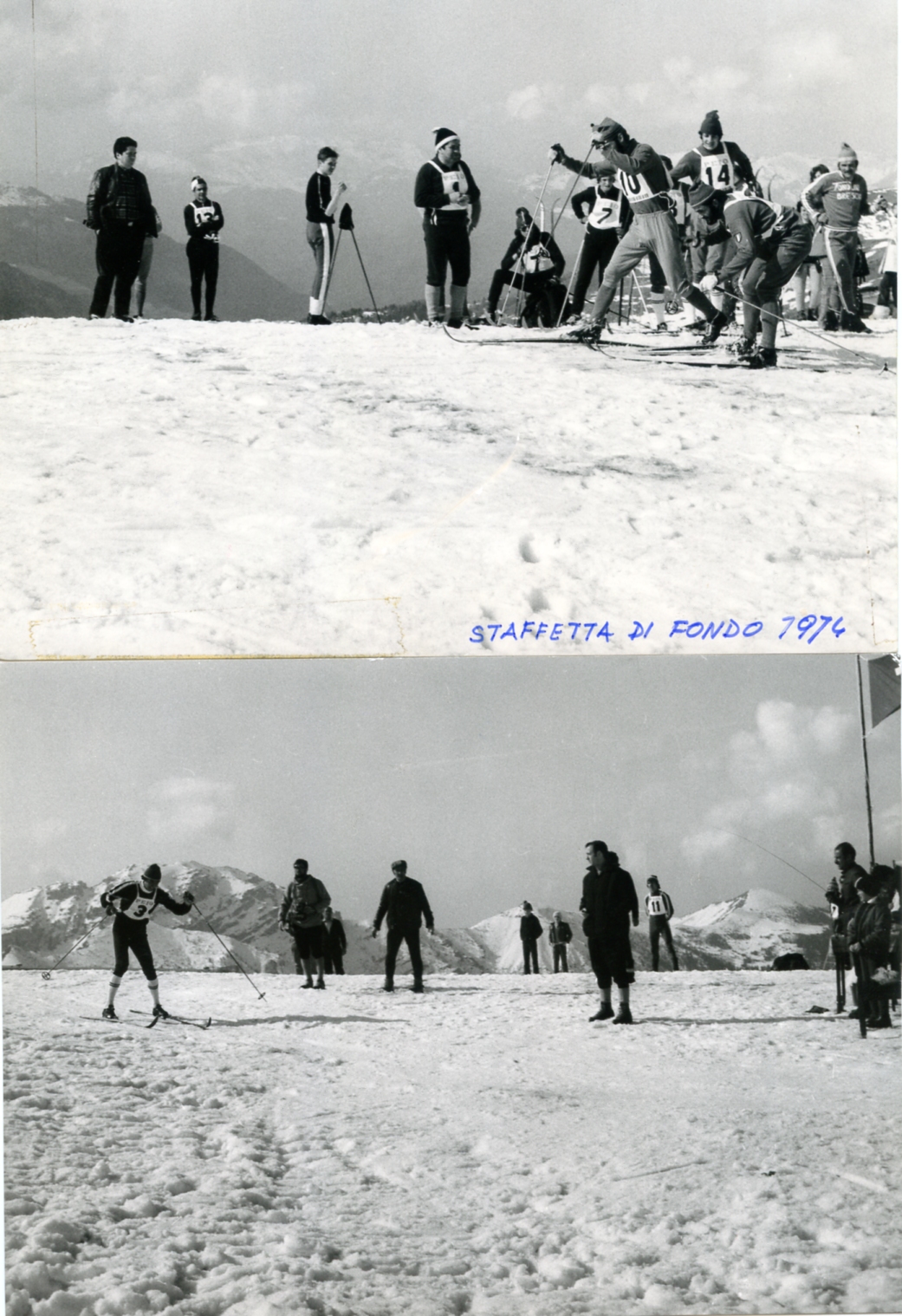 Foto gare e premiazioni