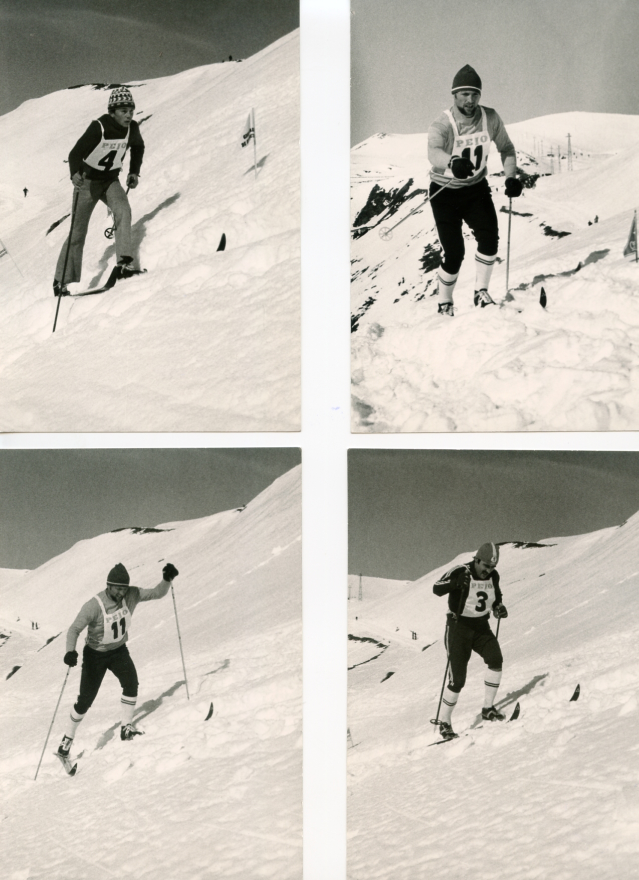 Foto gare e premiazioni